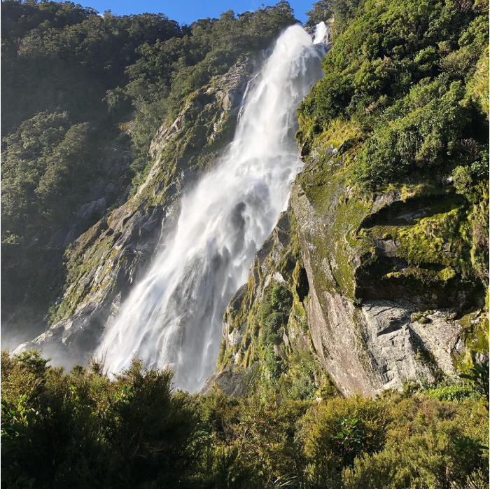things to do in new zealand (20)