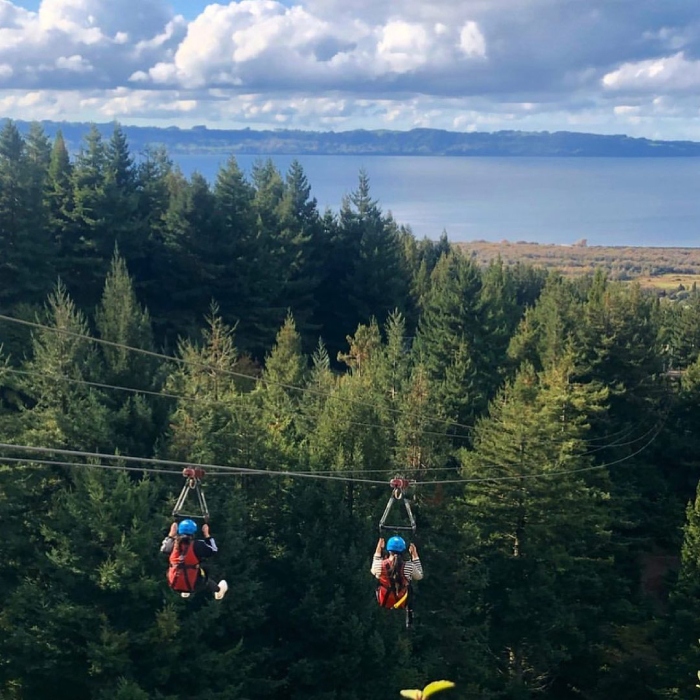 things to do in new zealand (9)
