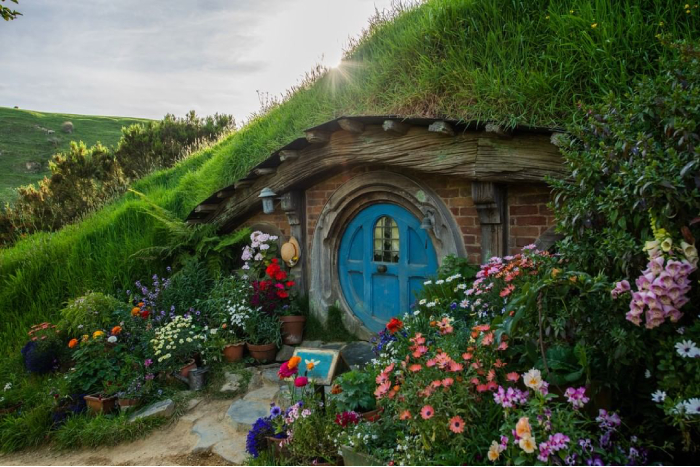 things to do in new zealand