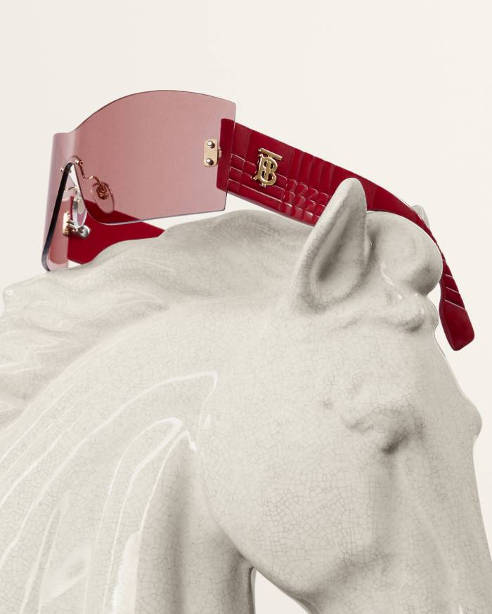 valentines day gift burberry