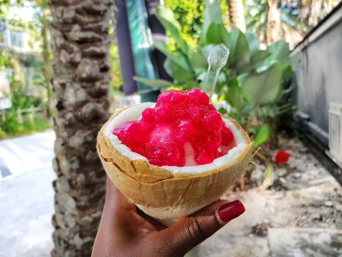 vegan-dairy-free-ice-cream-singapore-conutink