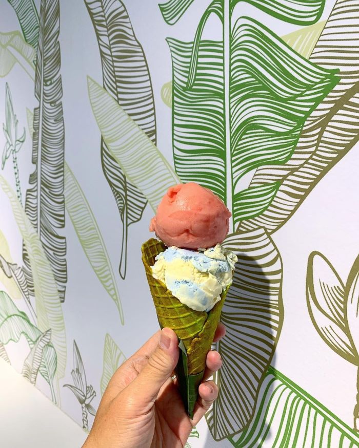 vegan-dairy-free-ice-cream-singapore-momolato