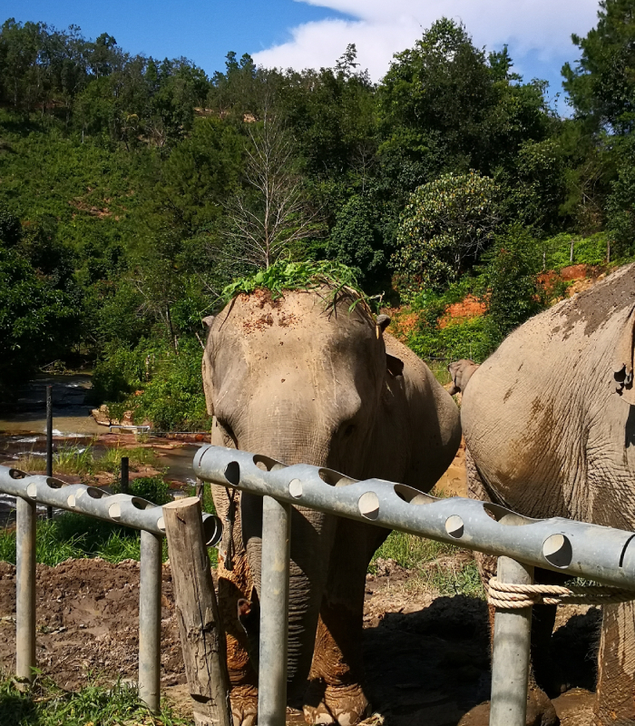 where to go in thailand