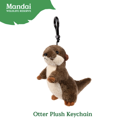 world otter day singapore - (11)